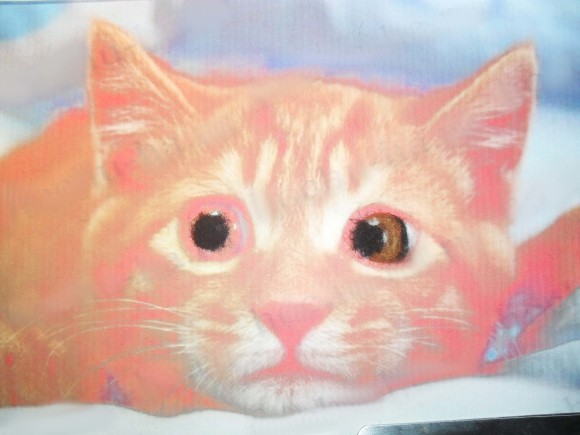 Картина из шерсти мастер класс - рыжий котёнок