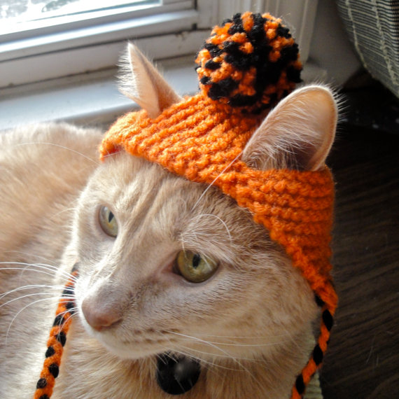 Вяжем шапочку для кошки