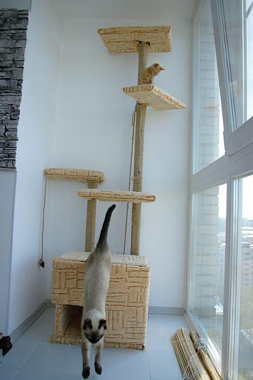 Высокий дом для кота