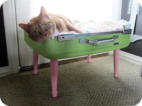 Дом для кошки из старого чемодана