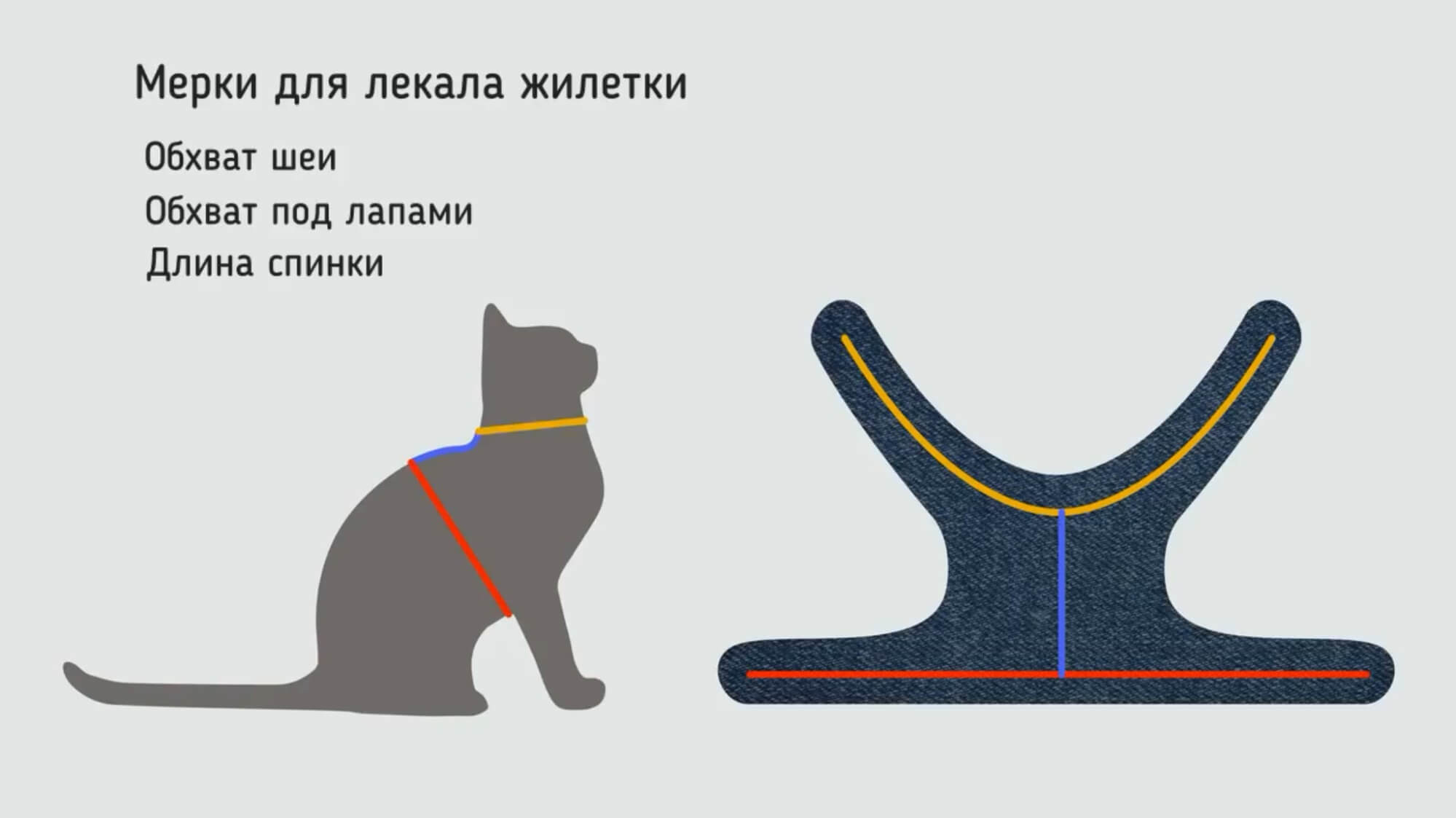 Как сшить шлейку для кошки быстро и легко (своими руками)