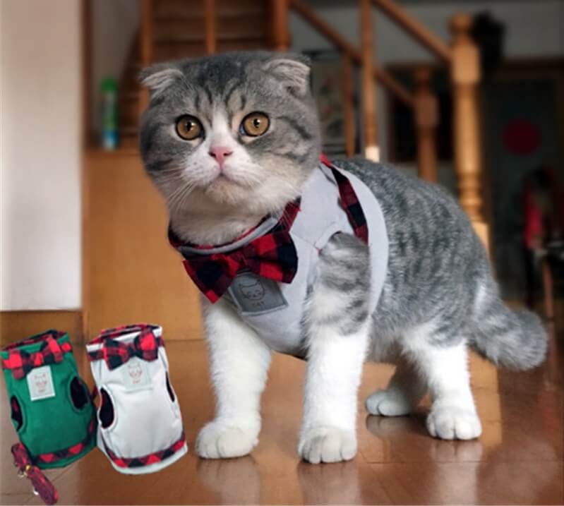 Делаем шлейку для кошки своими руками в домашних условиях: выкройка и шитьё