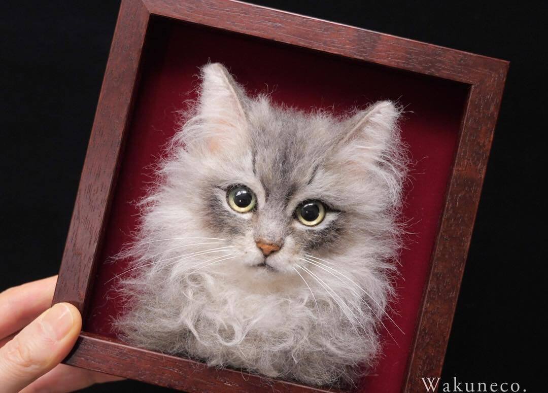 Как пользоваться шерстью. Японская художница Wakuneco. Портрет кошки. Кот в рамке валяние из шерсти. Портрет кота из шерсти.